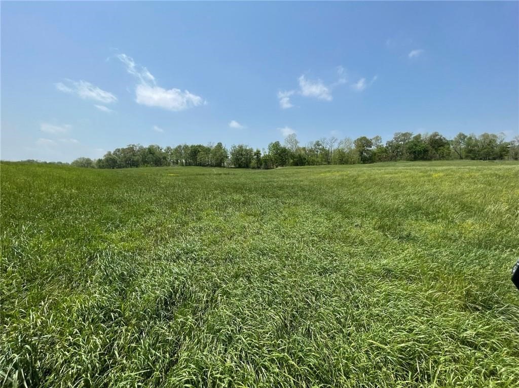 Healing Springs Phase 2 - Land