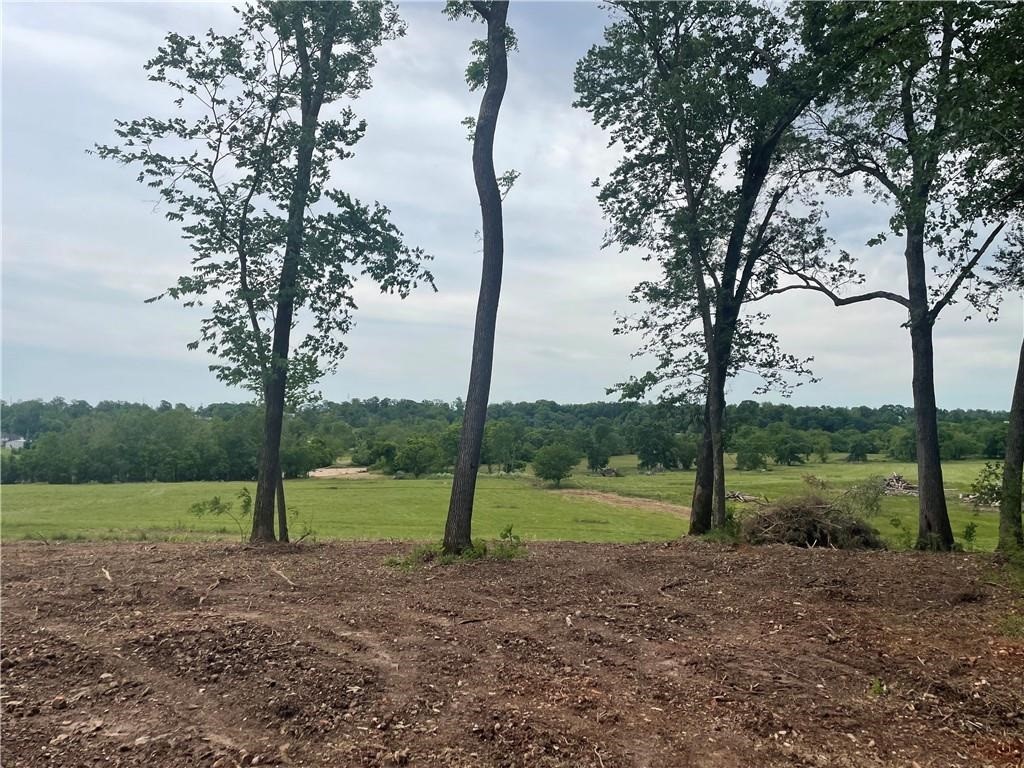 Healing Springs Phase 2 - Land