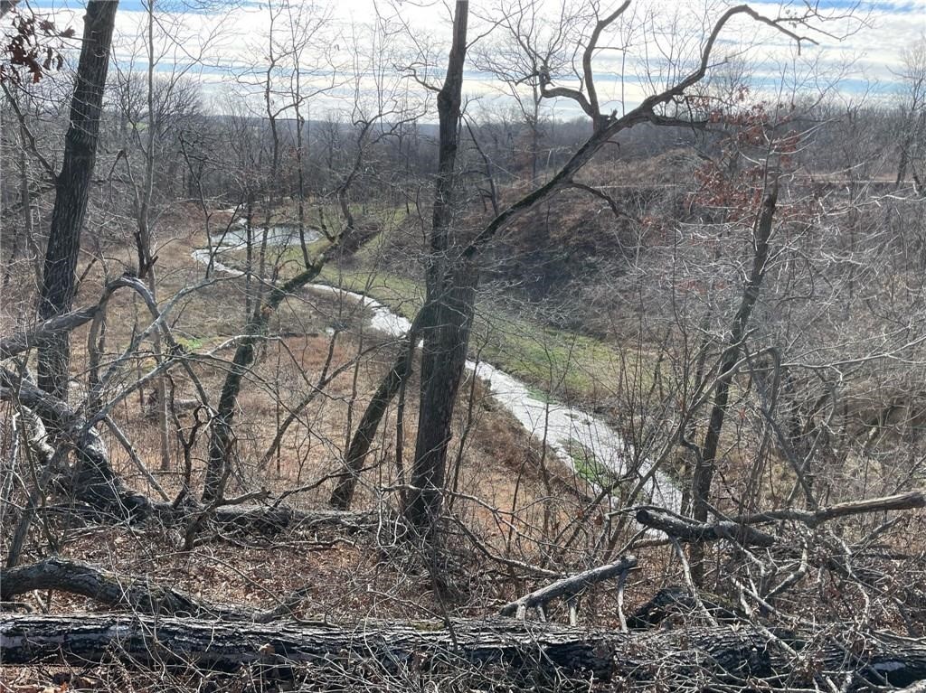 Healing Springs Phase 2 - Land