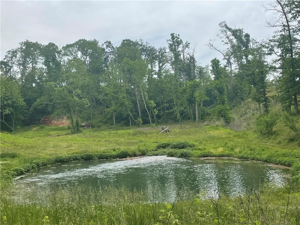 Healing Springs Phase 2 - Land