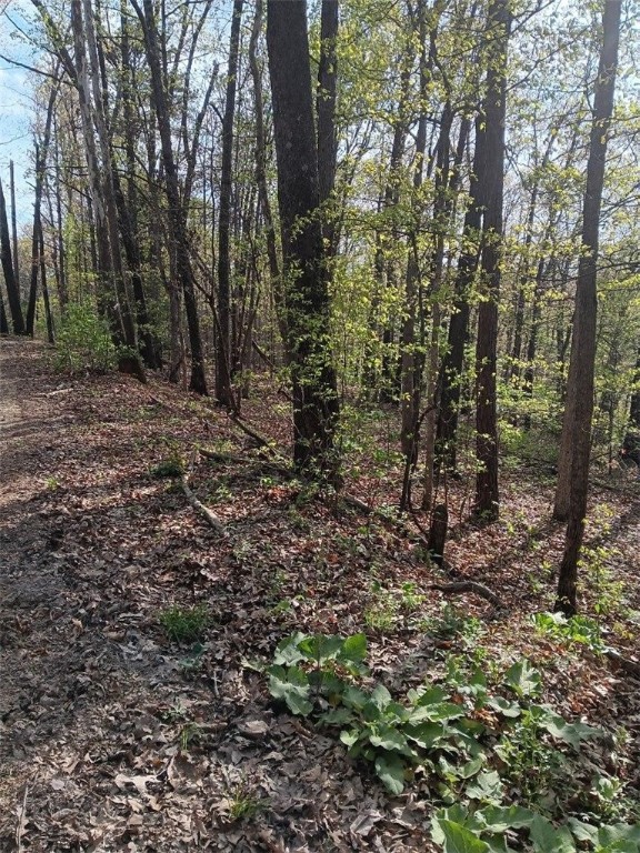 Nestled within the serene and sought-after Cornwall Subdivision in the enchanting town of Bella Vista, Arkansas, lies a truly exceptional .25-acre lot awaiting your vision only 2.5 miles from HWY 71- Bella Vista Way. Boasting a prime location within the esteemed Bentonville school district, this lot offers the perfect combination of convenience and natural beauty, making it an ideal canvas for constructing your dream home. Just a short 2.5-mile drive from both the Lake Ann Trailhead parking and the picturesque Pinion Creek Falls, this lot provides easy access to the wonders of nature, inviting you to explore and immerse yourself in the breathtaking landscapes that surround you. With seamless connectivity to the renowned Bike 40 trail system, outdoor adventures and recreational opportunities are always within reach, promising a lifestyle filled with excitement and exploration.
