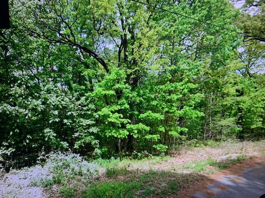 Beautiful developed lot in Bella Vista with paved road access, electricity, and sewage already available. This prime location offers convenience and outdoor enjoyment, just one mile from Lake Avalon Park, where you can enjoy a sandy beach, water sports, and great fishing. Lake Windsor is only 1.5 miles away, offering even more opportunities for boating, kayaking, and recreation. With two stunning lakes nearby and all utilities ready, this property is the perfect spot to build your dream home or weekend getaway in one of Bella Vista’s most desirable areas.