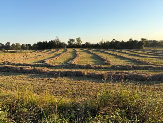 ROB HILL ROAD, DARDANELLE, AR 72834 - Image ea3463f4d6db873e813c40ea3ccaa6ab/2568425165