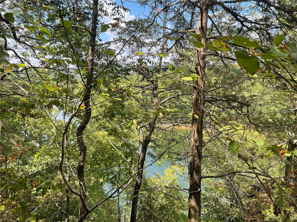 Wolfridge Estates #2,3,4 - Land