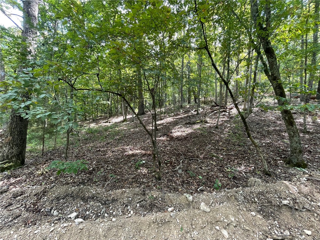 Wolfridge Estates #2,3,4 - Land