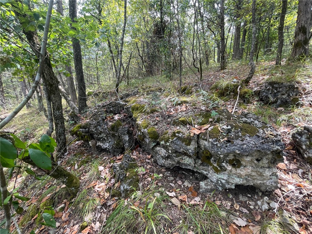 Wolfridge Estates #2,3,4 - Land