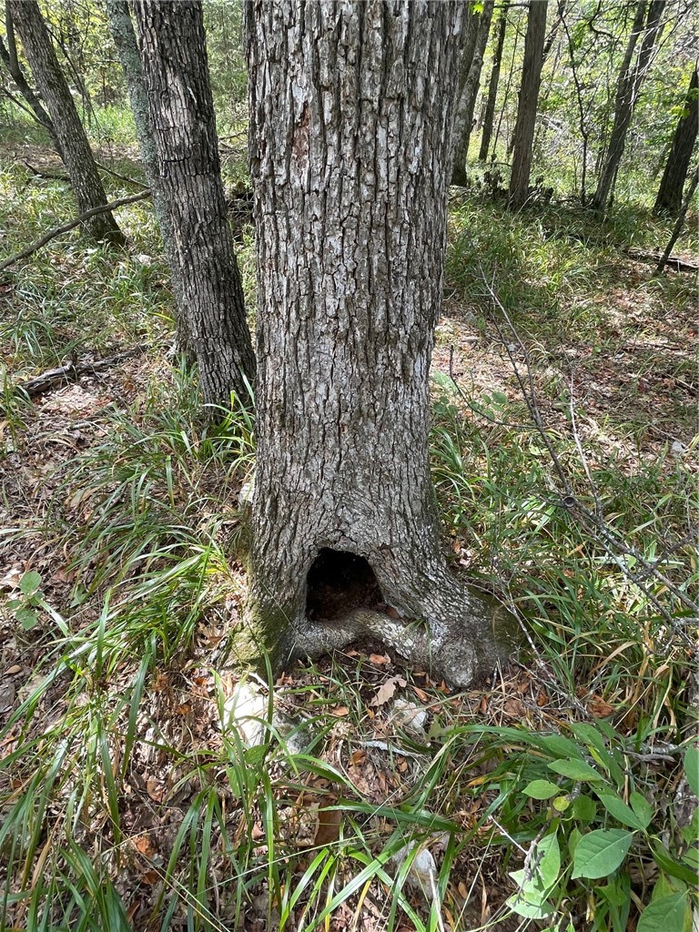 Wolfridge Estates #2,3,4 - Land