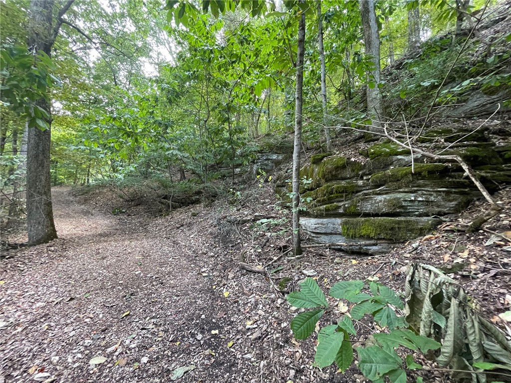 Wolfridge Estates #2,3,4 - Land