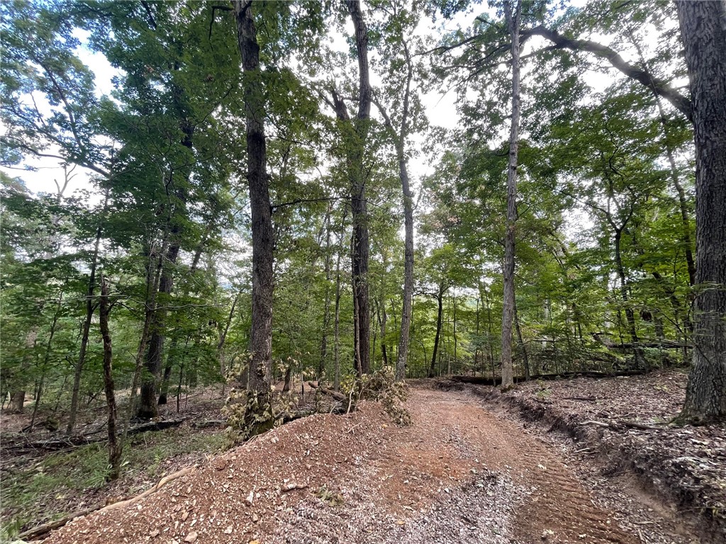 Wolfridge Estates #2,3,4 - Land