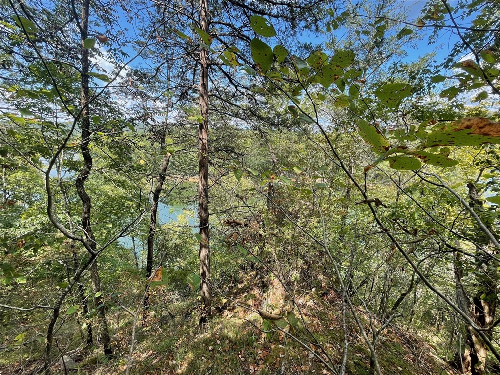Wolfridge Estates #2,3,4 - Land