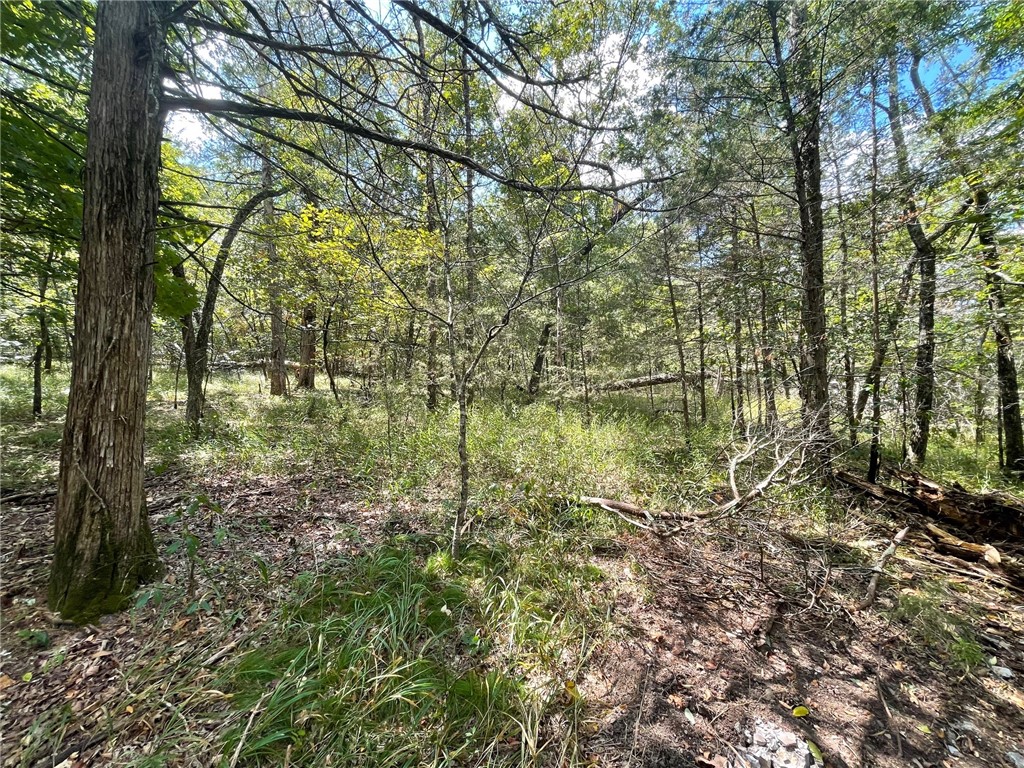 Wolfridge Estates #2,3,4 - Land