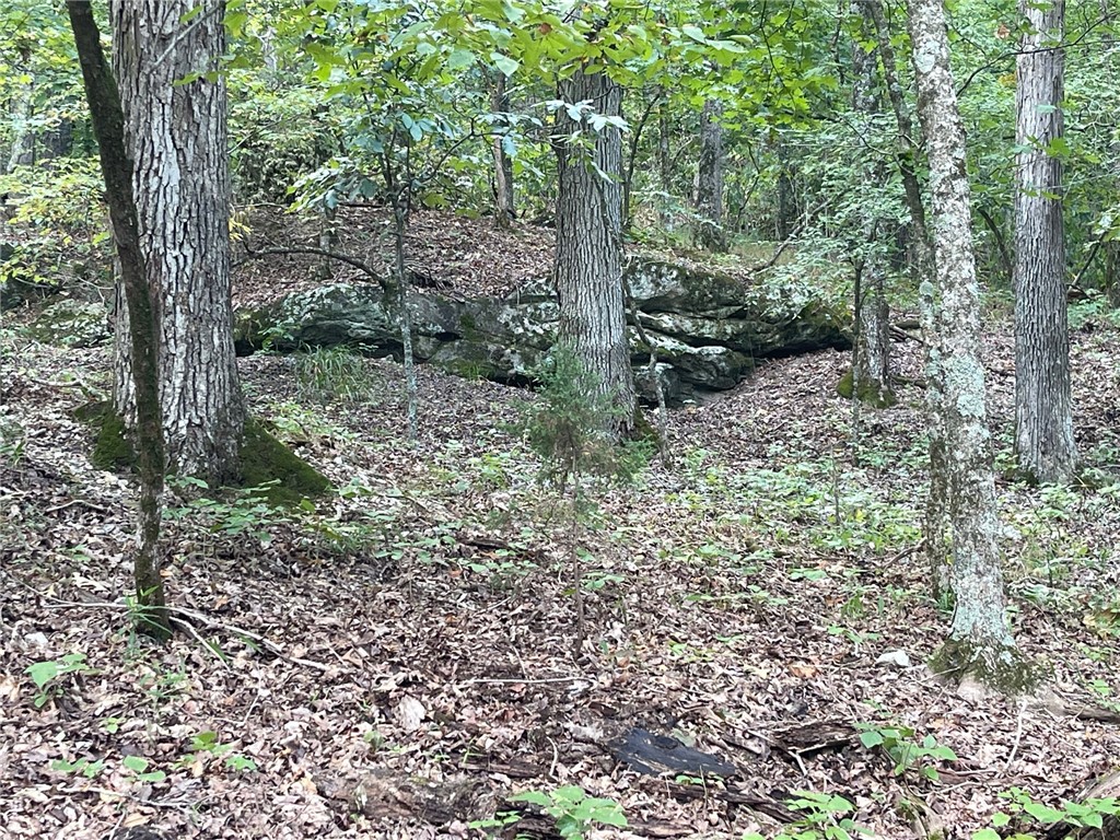 Wolfridge Estates #2,3,4 - Land