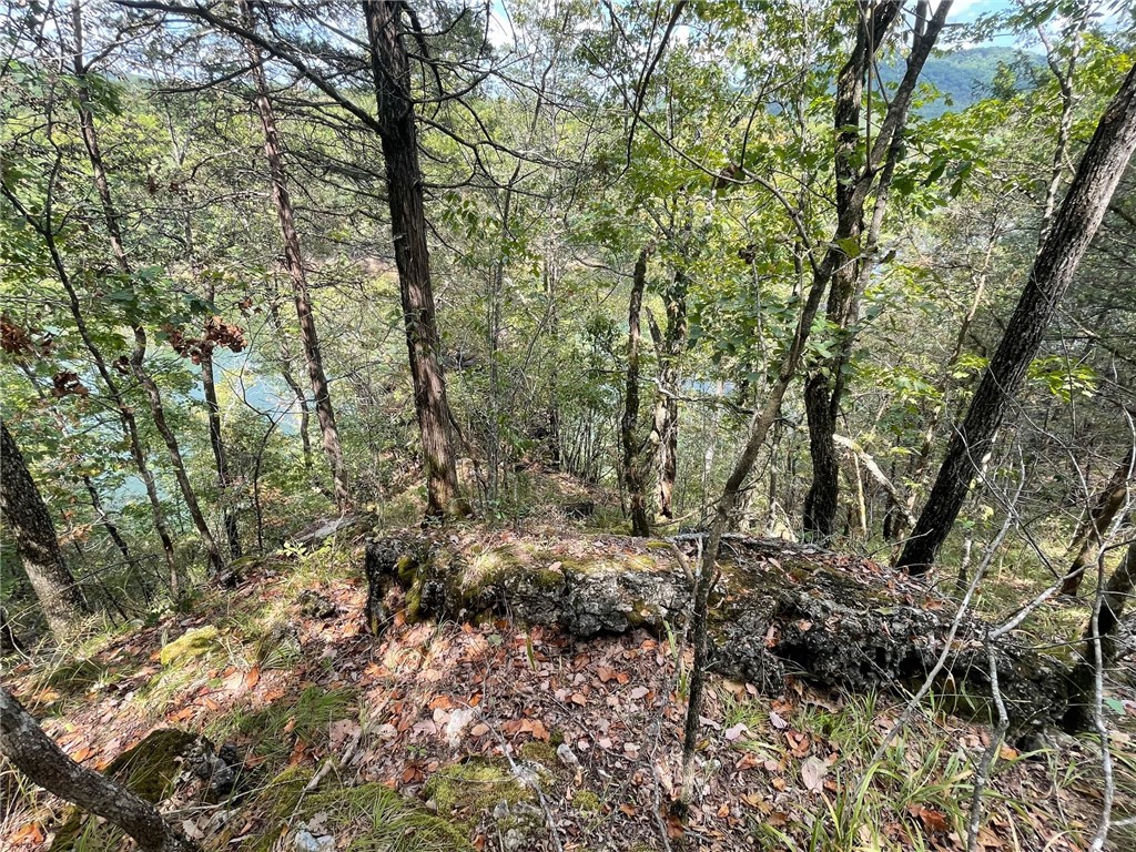 Wolfridge Estates #2,3,4 - Land