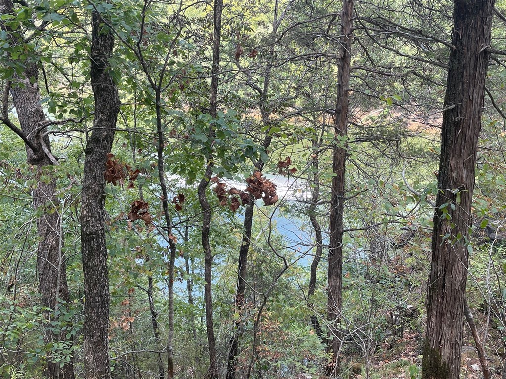 Wolfridge Estates #2,3,4 - Land