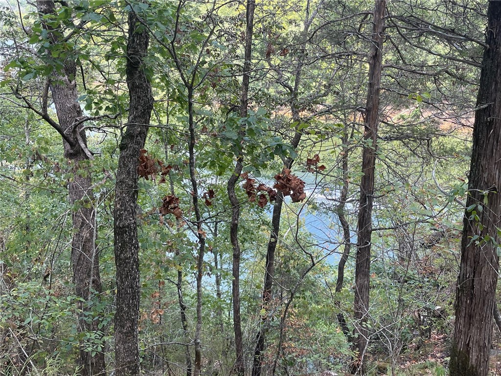 Wolfridge Estates #2,3,4 - Land