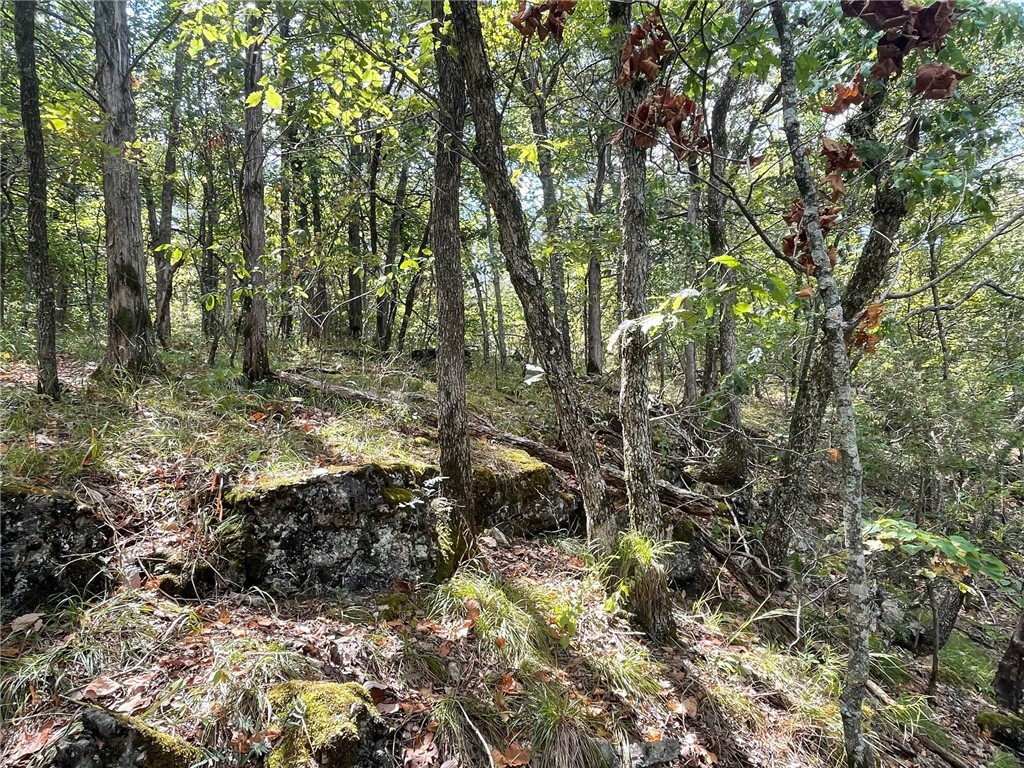 Wolfridge Estates #2,3,4 - Land