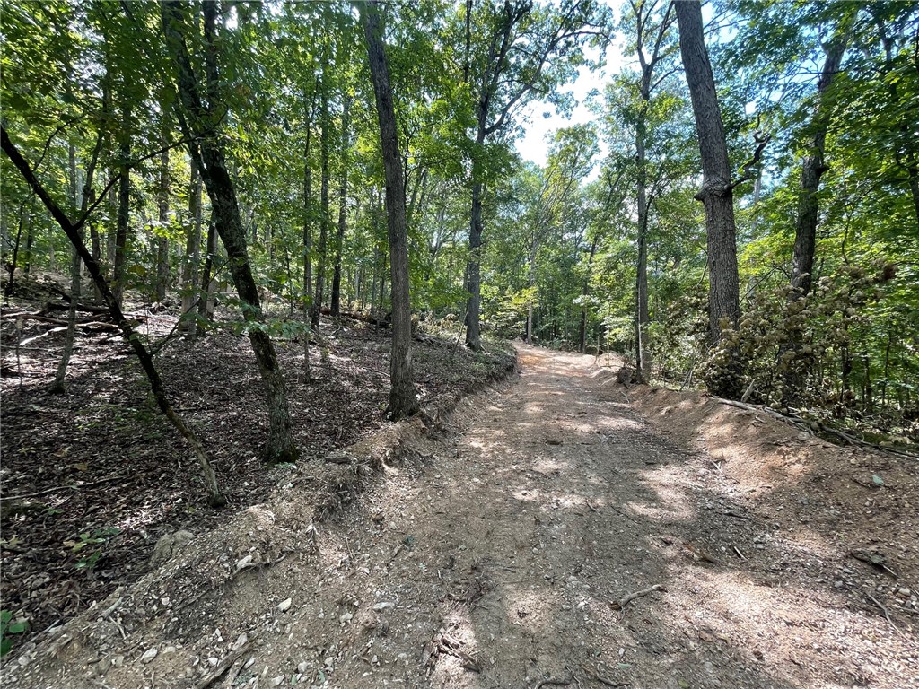 Wolfridge Estates #2,3,4 - Land