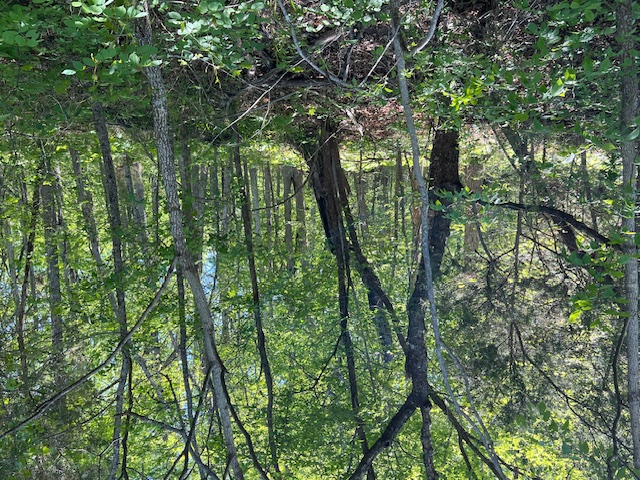 Unit 7 Holiday Island - Land