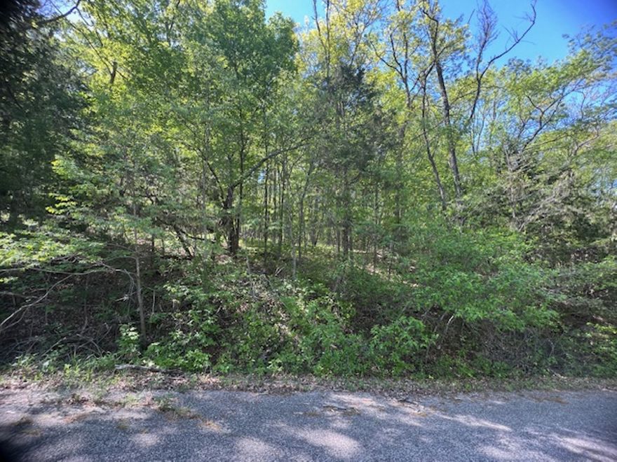 This 0.34 acre lot sits in a secluded area of Thunderbird Drive in Holiday Island.  The lot slopes at an uphill angle from the road affording you a great valley view from a second story window.  Lots of trees if you want seclusion yet minutes from the Golf Course and Country Club.  Close to all amenities offered at Holiday Island.  Including 2 golf courses, recreation center, baseball diamond, tennis courts, pickleball courts, parks pools, marina, fishing docks and more.  Close to shopping, grocery, banks and more.  15 minutes to Eureka Springs and 45 minutes to Rogers or Branson.