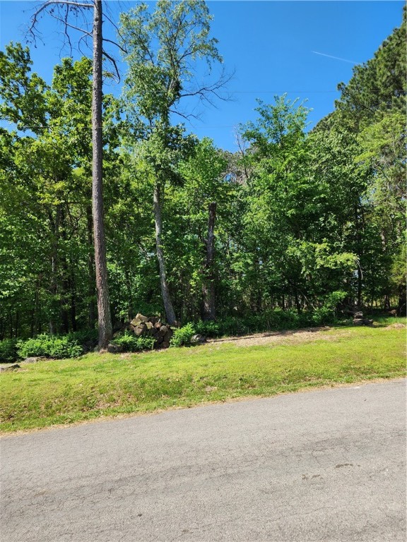 .30 acres of beautiful Bella Vista can be yours! The boat ramp on Stoneykirk is a little bit over a mile away. Come enjoy all that Bella Vista has to offer - from fishing, hiking and biking trails, pools, recreation centers, and a community that always seems to have something going for everyone!