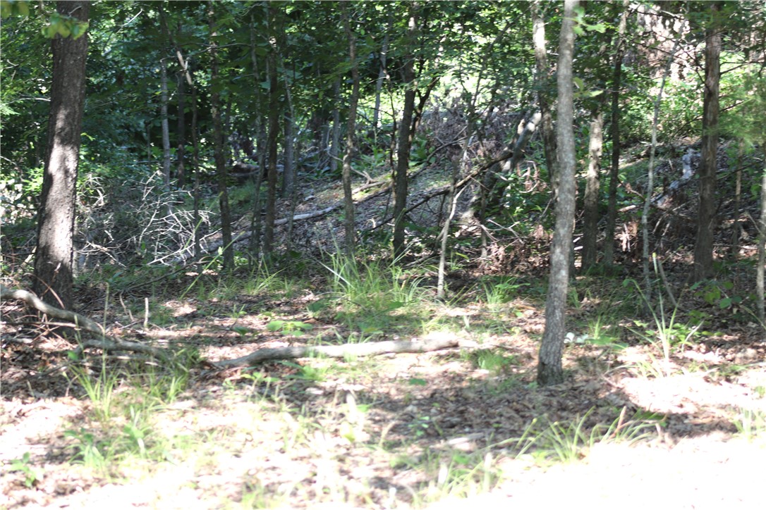 Horseshoe Bend Estate Rurban - Land