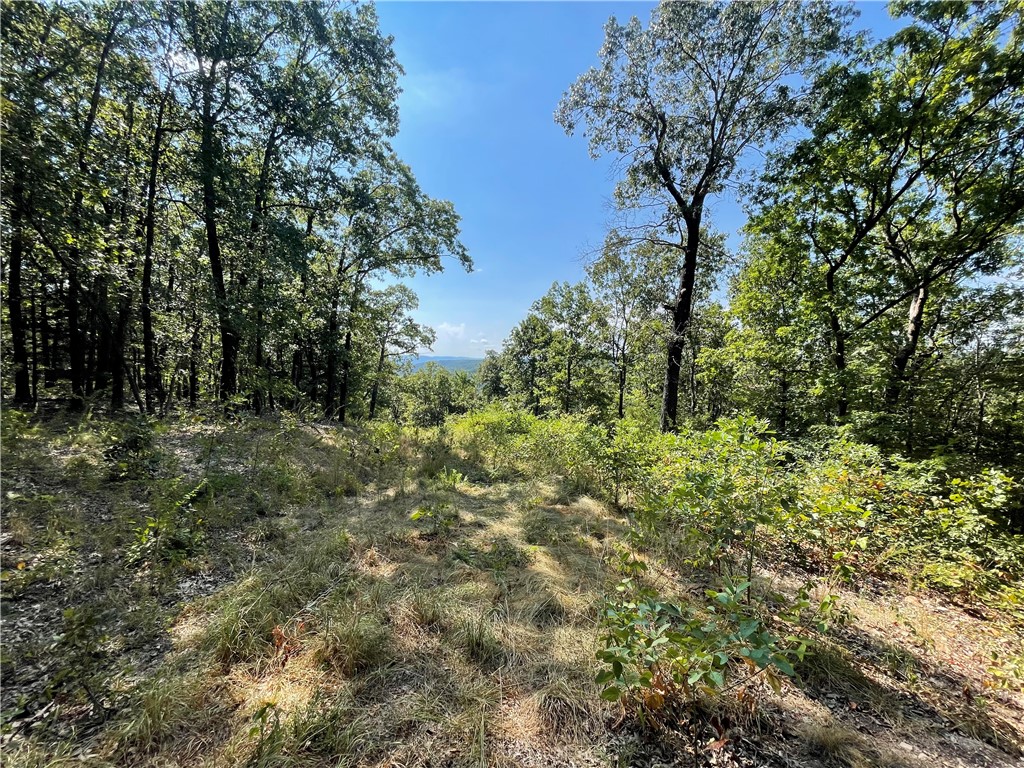 Looking for your own secluded slice of mountain heaven? This 20-acre timberland retreat offers everything an outdoor lover could dream of Perfect for a cabin getaway, hunting lodge, or future homestead. Properties like this don’t come around often.