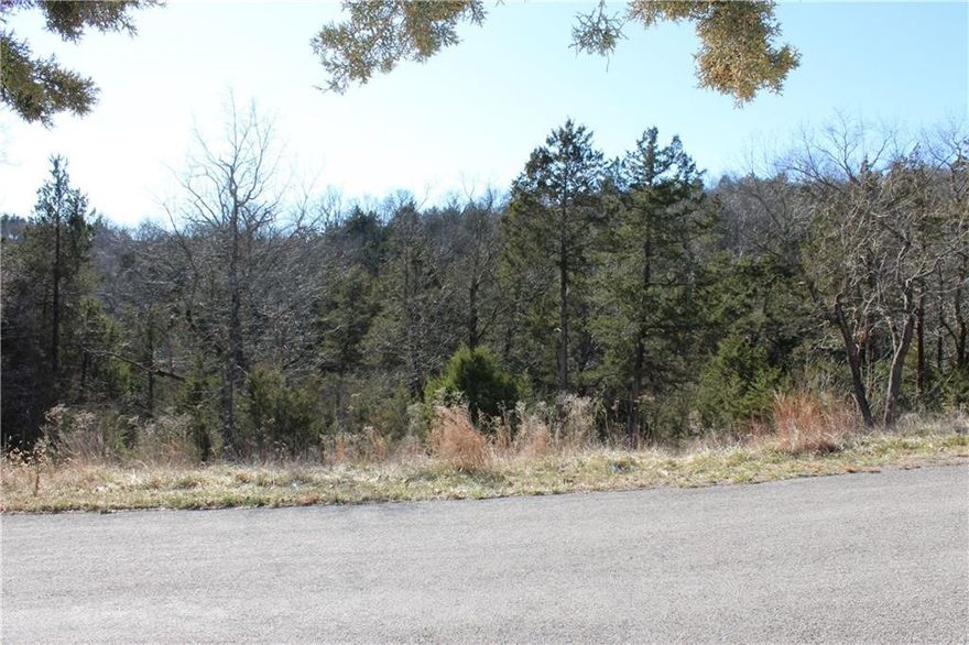 Exceptional, mostly cleared lot offering a level building area ideal for a primary residence or vacation home on Holiday Island. All utilities are available at the street, providing valuable cost savings. The property features mature trees for natural beauty and shade, along with a gentle rear slope that may accommodate a walk-out design. Enjoy a private, peaceful setting while staying close to Holiday Island amenities, including two golf courses (18-hole and 9-hole), swimming pools, tennis courts, community gardens, a marina, and more. A rare opportunity to combine convenience with tranquil surroundings