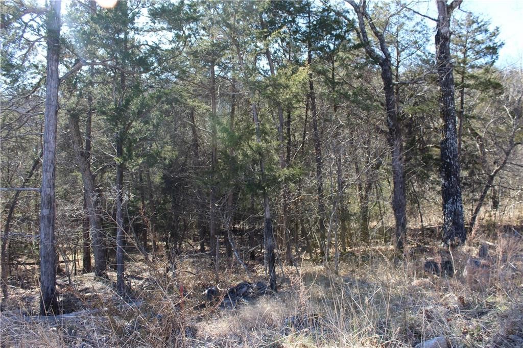 Unit 115 Holiday Island - Land