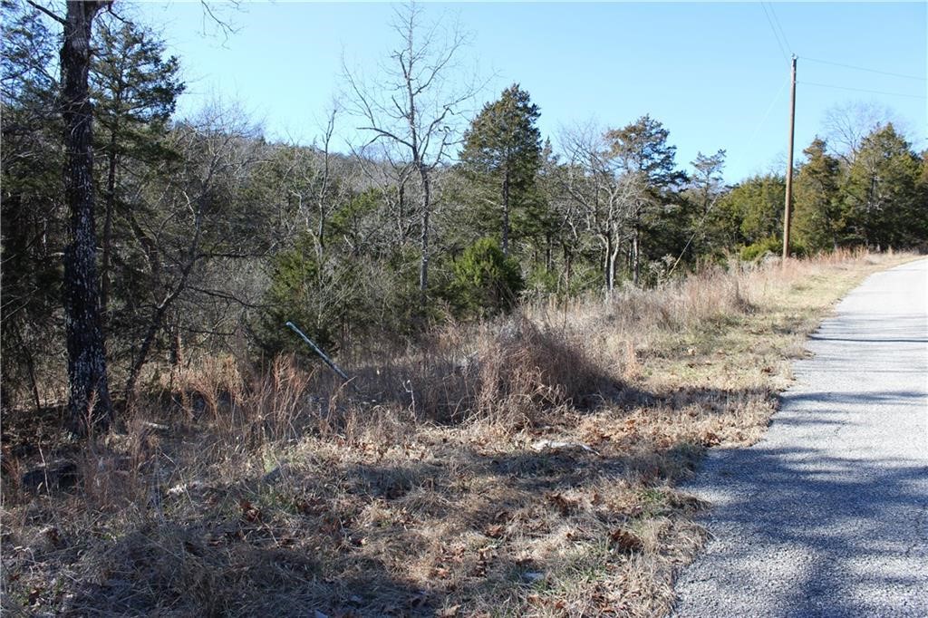 Unit 115 Holiday Island - Land