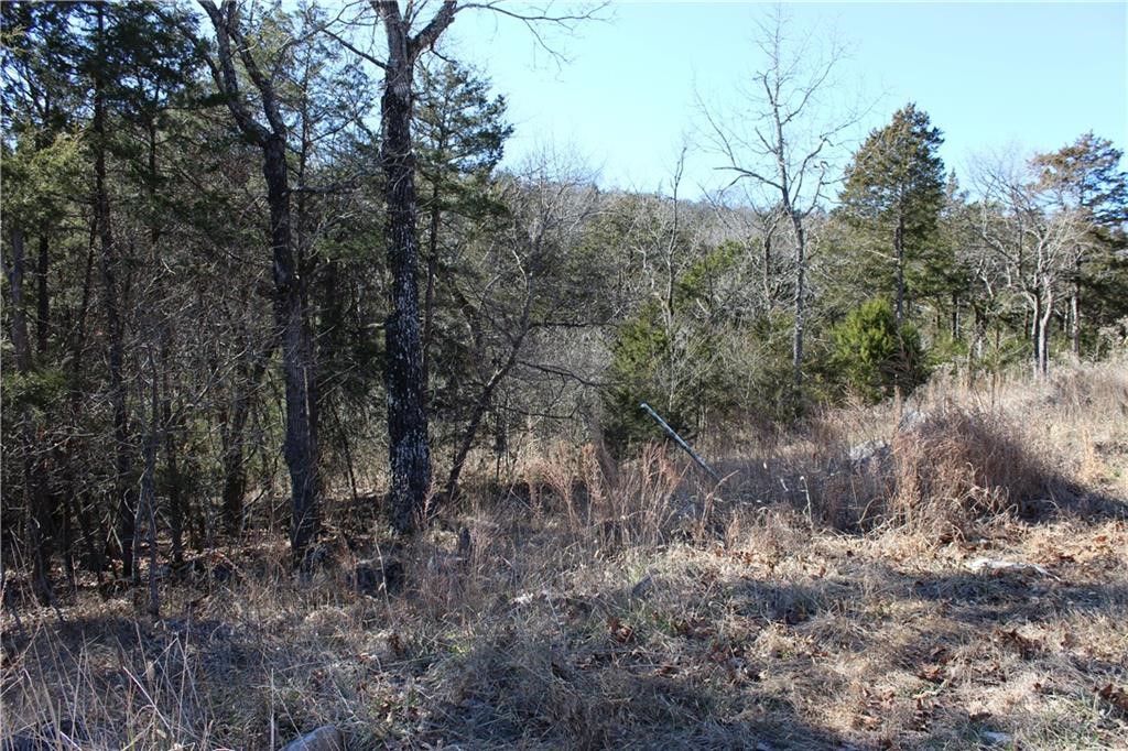 Unit 115 Holiday Island - Land