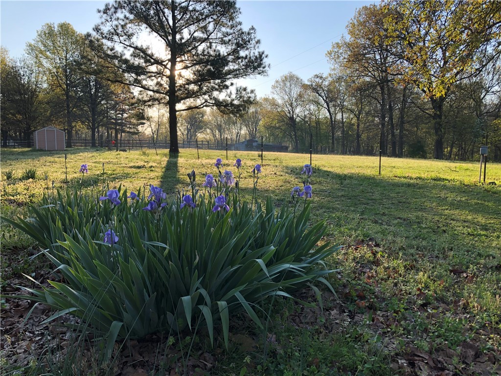 Woodridge Manor Rurban - Residential