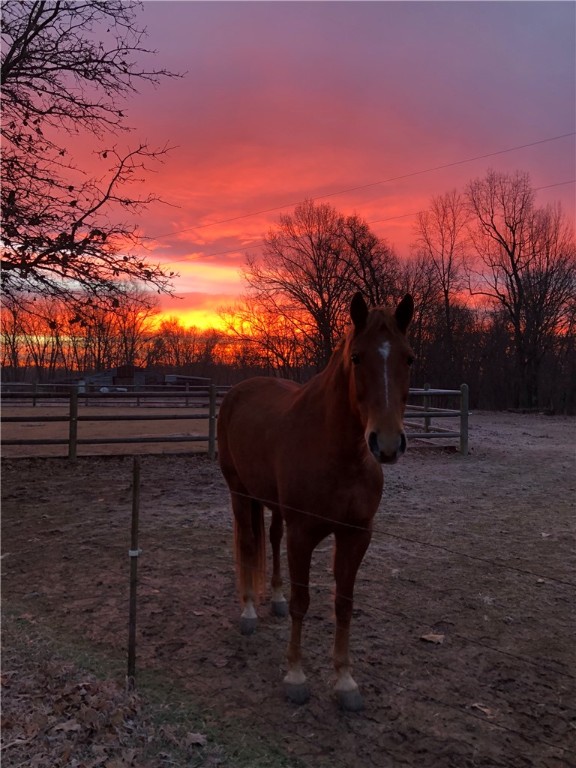 Woodridge Manor Rurban - Residential