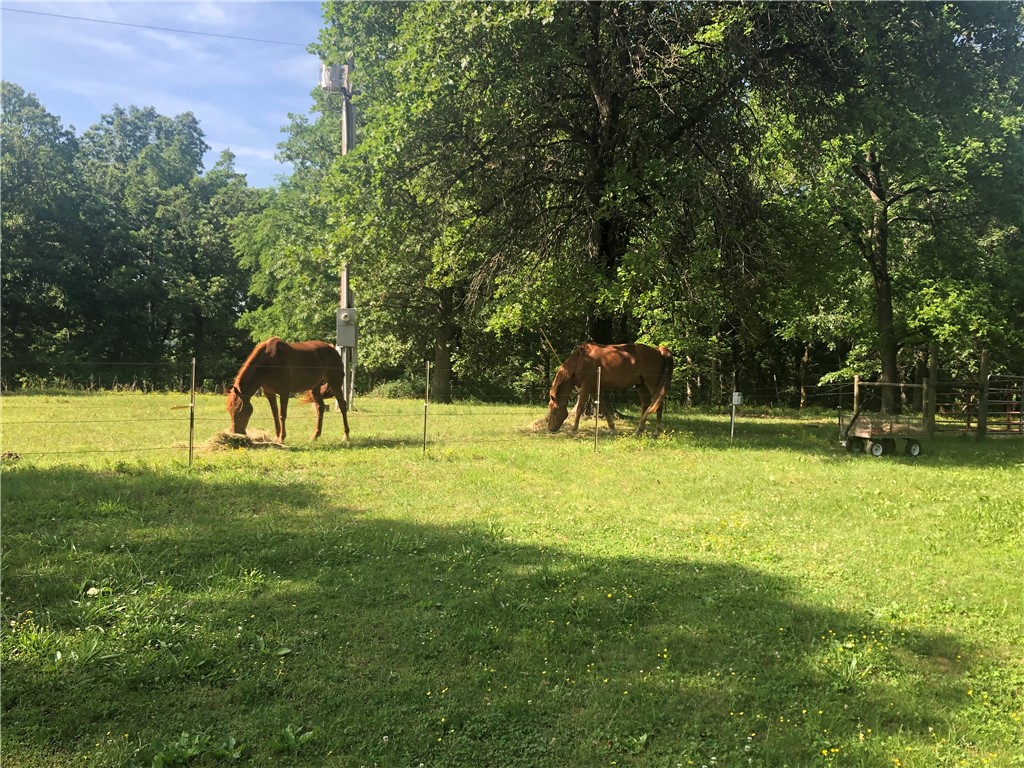 Woodridge Manor Rurban - Residential
