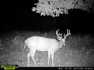 Woodridge Manor Rurban - Residential