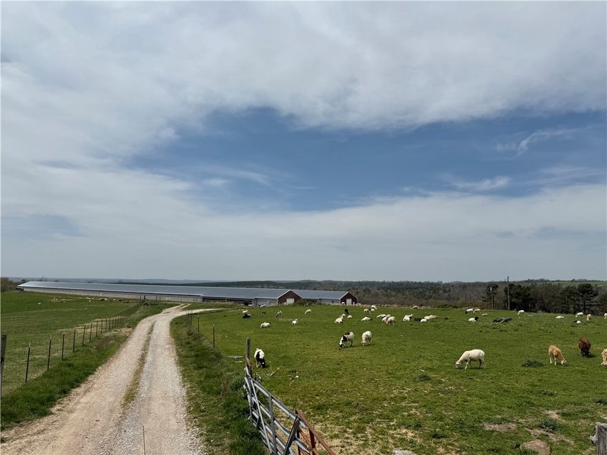 Discover your ideal starter or investment opportunity with this two-house breeder farm. Situated on 20+/- acres, offers a solid George's poultry contract (OMP) with no updates needed. The farm includes 40' x 630' houses built in 2016, and a tiny container home. Pay is 64 cents a dozen with the potential to increase income. Electric and rural water are readily available, with additional space perfect for a mobile home or building your dream residence. Don't miss your chance to own this income-generating property with plenty of potential for increasing income and expansion. Contact us today for more details or to schedule a private tour!