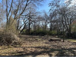 Looking for some commercial property? Or maybe even some land to build a small income producing rental? Zoned C4 this lot has lots of potential options! Utilities are present on the lot.