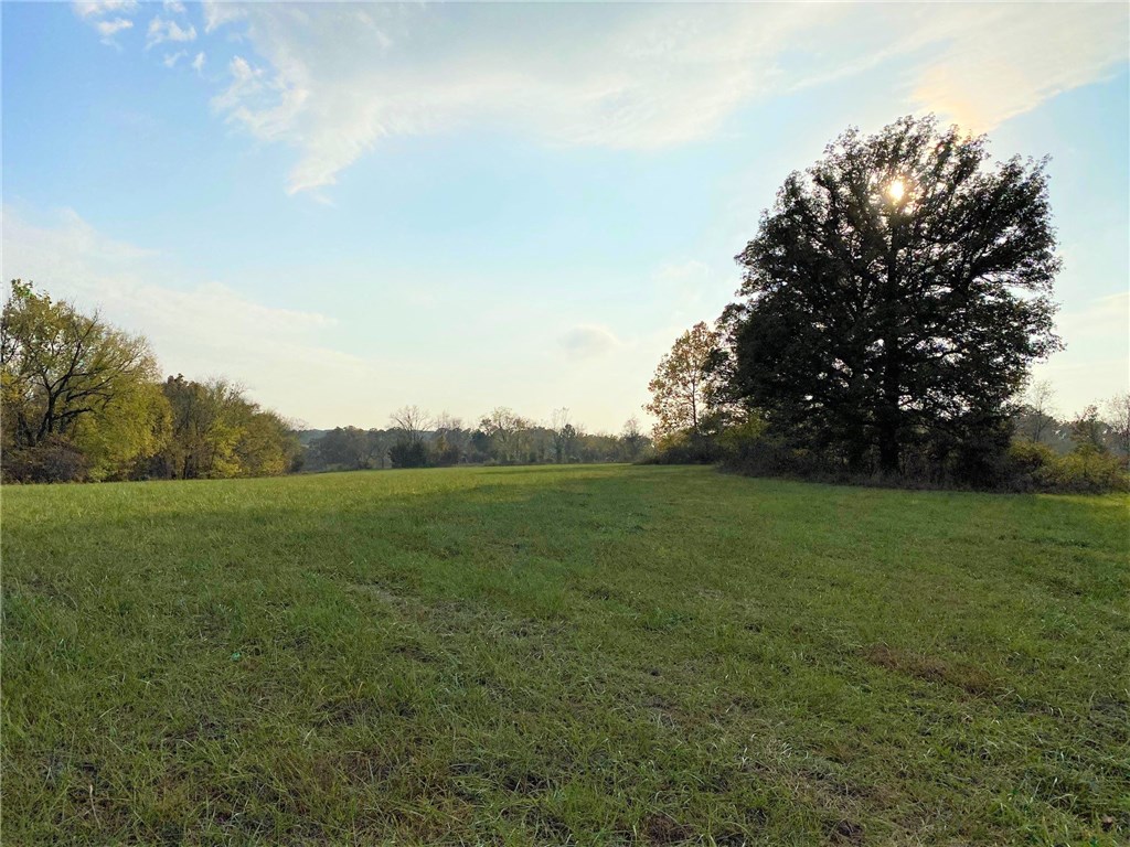 Dream home needed!!! This beautiful 12 acre property gives you quiet, seclusion and a lovely setting. With this property, your hardest question will be which spot to pick for your home. Plenty of open pasture while the back half is wooded. Rural water is across Peterson Rd.
