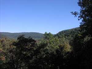 Nice land with easy access close to the Buffalo National River. County road frontage with electric on site and rural water available. All wooded with a spring.