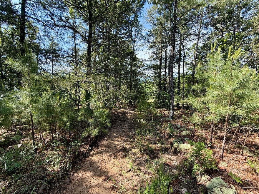 13± UNRESTRICTED ACRES BORDERING THE OZARK NATIONAL FOREST – MINUTES FROM SNEED'S CREEK LANDING ON THE WHITE RIVER
This unique property offers a rare opportunity to own 13± unrestricted acres adjoining the Ozark National Forest, with endless potential for a private retreat, hunting camp, or dream cabin. Enjoy the trails, striking geological rock formations, and the tranquility of nature all around. Just minutes from Sneed’s Creek Landing for easy access to fishing, kayaking, and river adventures. Electric is available. Property will need to be surveyed.