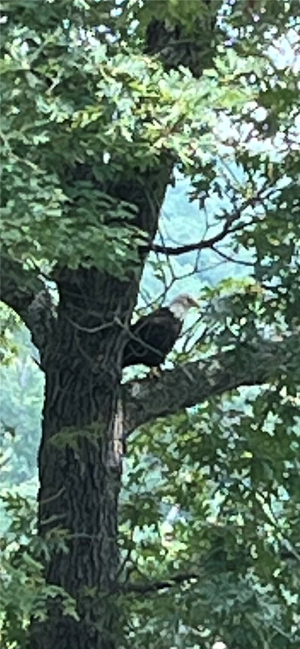 Cargill Sub Bvv - Residential