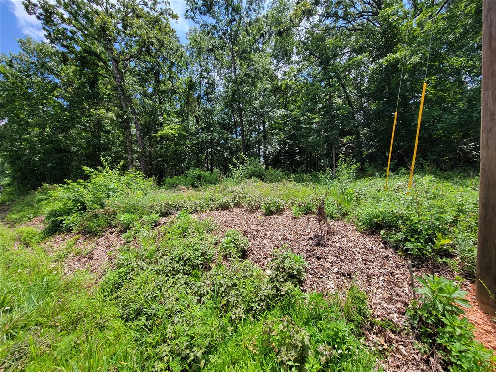 This lot is within walking distance to the The Branchwood Recreation Center, an 11,537-square-foot facility, located on Bella Vistaās west side. The facility has an indoor pool, fitness center, a hot tub, menās and womenās locker rooms, saunas, a pool table, two racquetball courts, outdoor tennis, pickleball and basketball courts and playground equipment. The lot is also a short drive to the Highlands golf course and country club. If that isn't enough, this lot provides quick access to the I-49. The seller has already had a perc test done on the lot. The results are available upon request and attached to this listing.