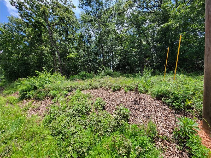 This lot is within walking distance to the The Branchwood Recreation Center, an 11,537-square-foot facility, located on Bella Vista’s west side. The facility has an indoor pool, fitness center, a hot tub, men’s and women’s locker rooms, saunas, a pool table, two racquetball courts, outdoor tennis, pickleball and basketball courts and playground equipment.  The lot is also a short drive to the Highlands golf course and country club.  If that isn't enough, this lot provides quick access to the I-49.  The seller has already had a perc test done on the lot.  The results are available upon request and attached to this listing.