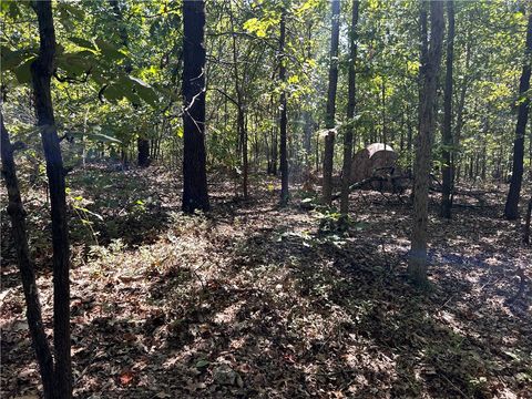 Unimproved Land in Gentry AR 16313 Van Hook Road 44.jpg