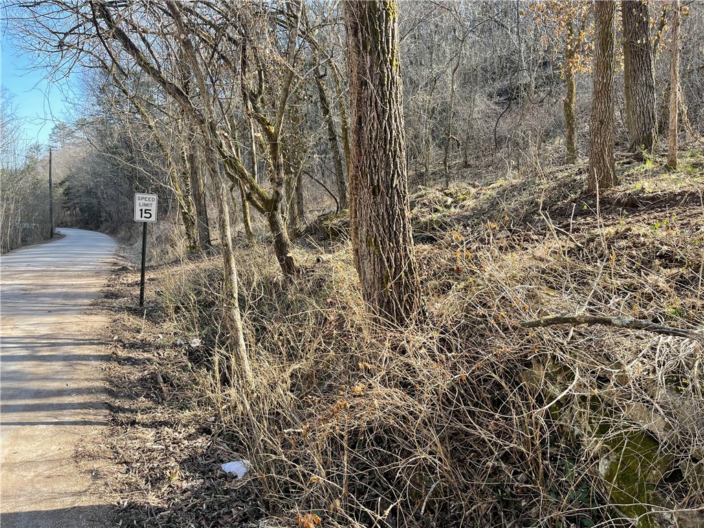 Large lot on Mill Hollow with flat plateau for your home site! A nice wooded setting yet close to downtown shopping and restaurants. On city water and sewer, electric at street.