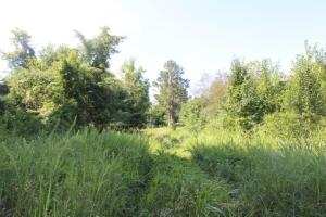 Level 2.59 acre m/l lot with Capps Road frontage. Convenient location. All #'s are approx and buyer to verify utilities.
