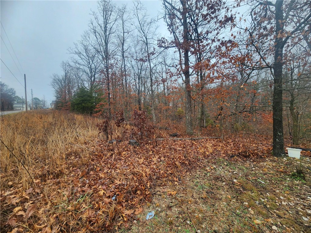Build your dream home in the desirable Highlands area of Bella Vista on this beautiful .28-acre lot that just perked for a 2-bedroom! Located near the Lake Loch Lomond boat landing and Stoneykirk Park. This property offers convenient access to recreation, including nearby trails, a recreation center, and other community amenities. Enjoy easy connectivity with the bypass to Bentonville, putting shopping, dining, and entertainment just a short drive away. Whether youāre planning your forever home or a weekend retreat, this lot provides the perfect balance of tranquility and accessibility in the heart of the Ozarks.