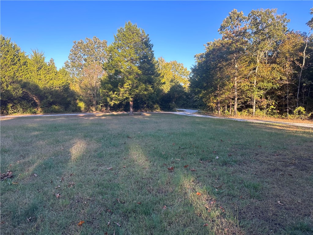 no - Residential Lease