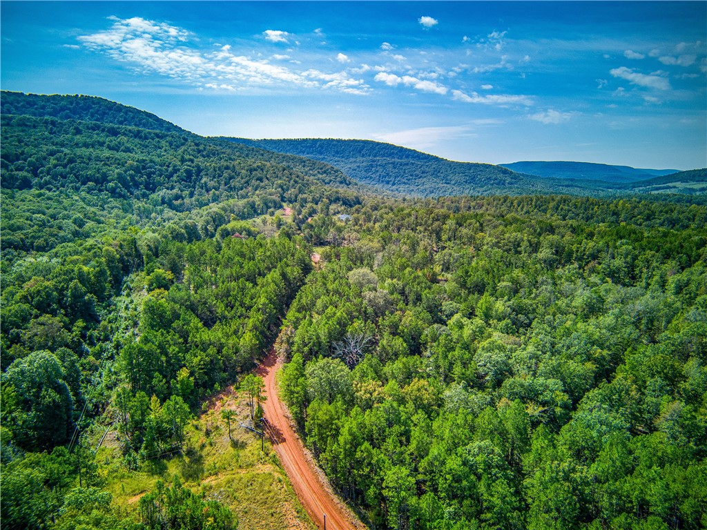 Borders Arkansas Game and Fish Gene Rush Management area for over 5.3 miles, and the Ozark National Forest for over a mile. Lots of great timber on it, most has had wildlife cuts done on it. Several small ponds and a couple small lakes. Several wet weather creeks and the views go on and on. Elk, bear deer, wild hogs, and turkey all call this area home. The AGFC intensively manages the elk in the area and this land is surrounded by the benefits of it. The owner has done numerous jobs for them and has mimicked some of that work on this land. This was operated as a Wildlife club in the 60's and 70's for guests to hunt and experience the Ozarks life. A very special piece of the Ozarks for sure. The club used to have a resort that harvested water from a spring for the hotel and restaurant. The spring is still very active and the resort is long gone. The approximate acreage is 1278 +/-. Deeds/legals have beeen pulled from the Newton county courthouse and can be provided.