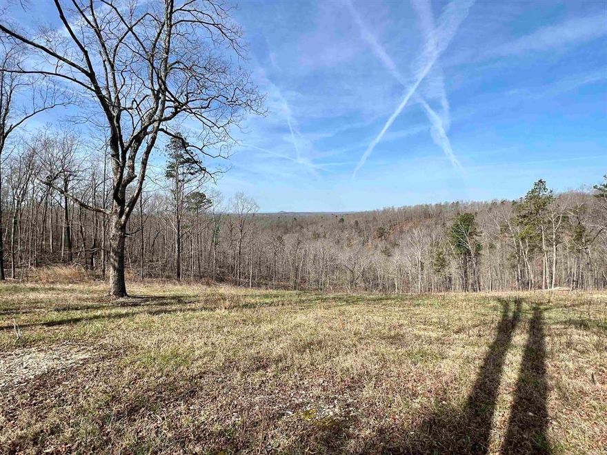 12.60 acres m/l, Unrestricted, and joining Buffalo National Park Service.  Located less than ½ mile down gravel road, and within 2 miles of river
access.  Power along road at property.  Great South West views for miles and an old house site with a hand dug basement and well.  The
options are endless on this one!