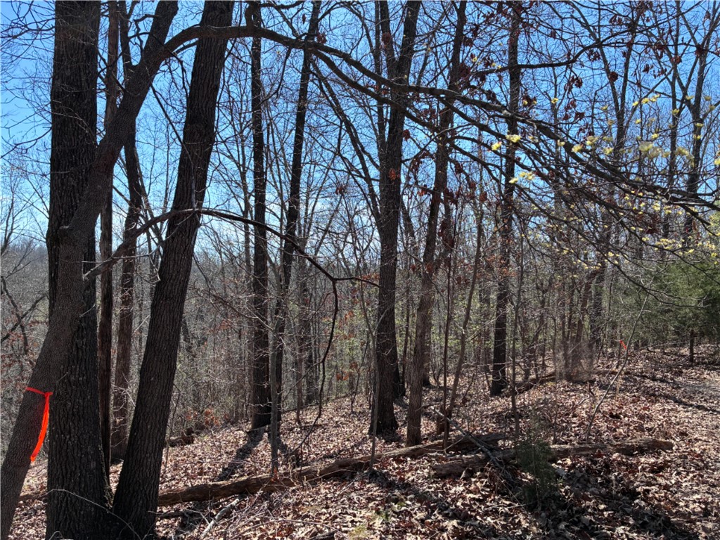 Lincoln Sub Bvv - Land